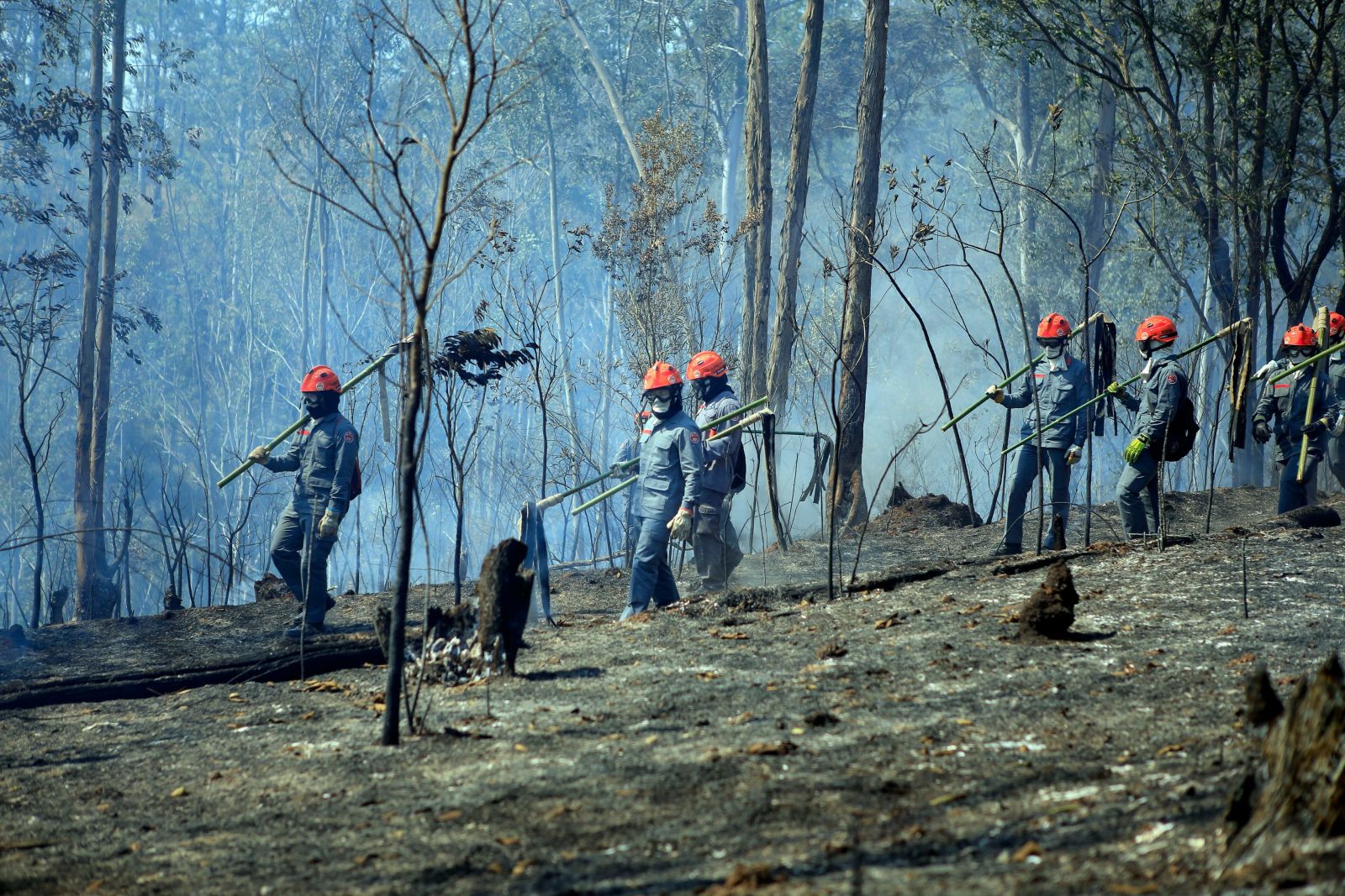 Brezilya’da 3 gündür devam eden yangınla mücadele sürüyor